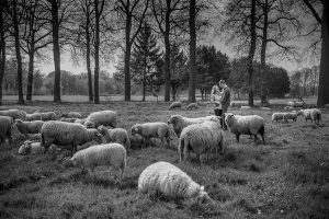 trouwfotograaf